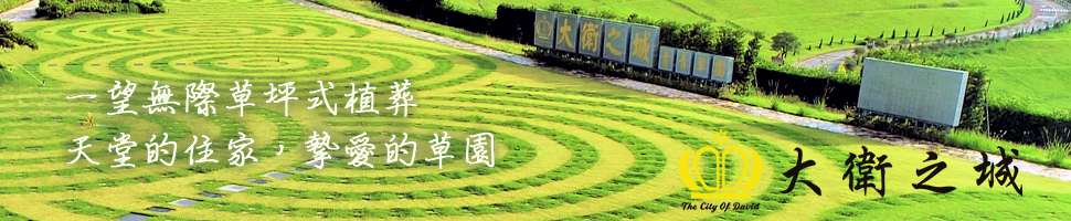 大衛之城文創股份有限公司(10/25-31)文章頭