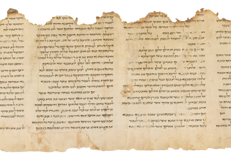 「聖殿卷」羊皮紙表面發現了一種礦物鹽。（Image credit: The Israel Museum, Jerusalem）
