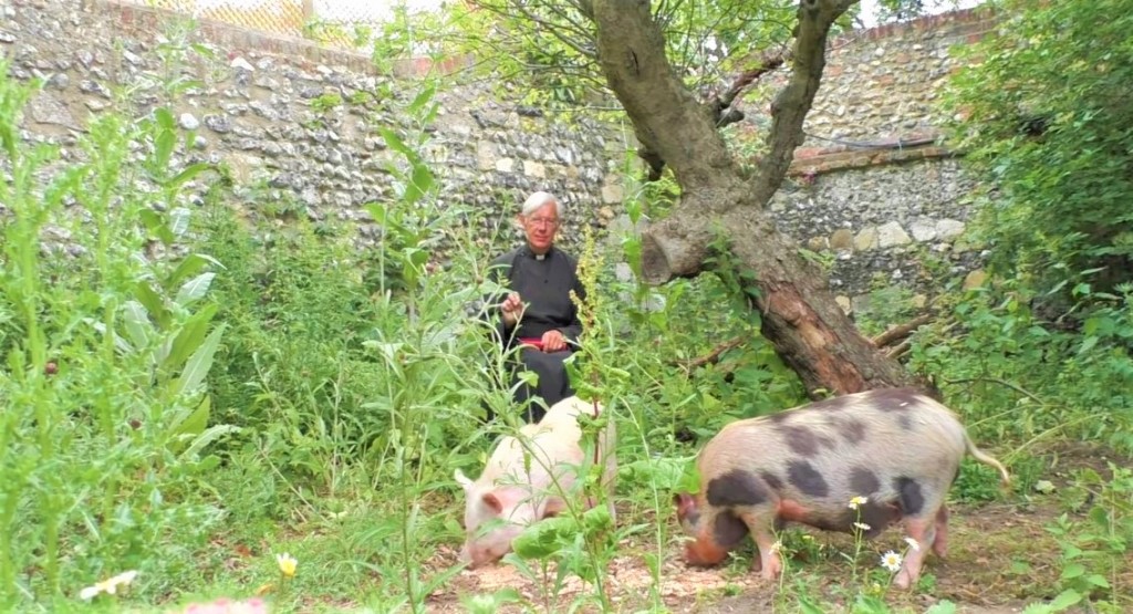 威利斯牧師在草叢裏分享信息，不時還會有豬入鏡。（圖/Canterbury Cathedral's Youtube）