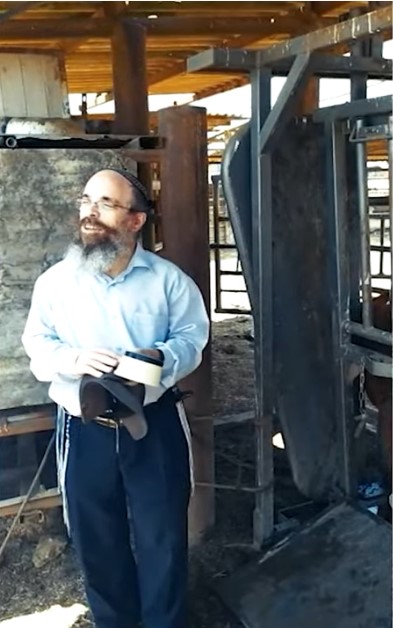 猶太教拉比阿扎瑞．艾瑞爾分享紅母牛飼養狀況。（截圖／The Temple Institute Youtube）