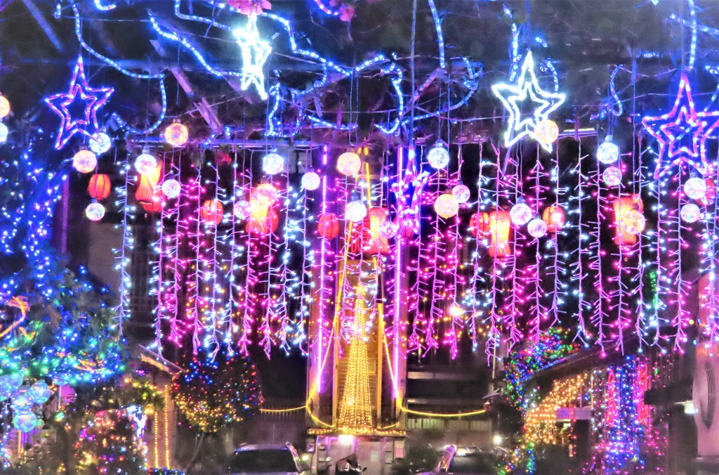 伯利恆之星與街口聖誕樹 象徵耶穌真光照耀...梁敬彥攝影