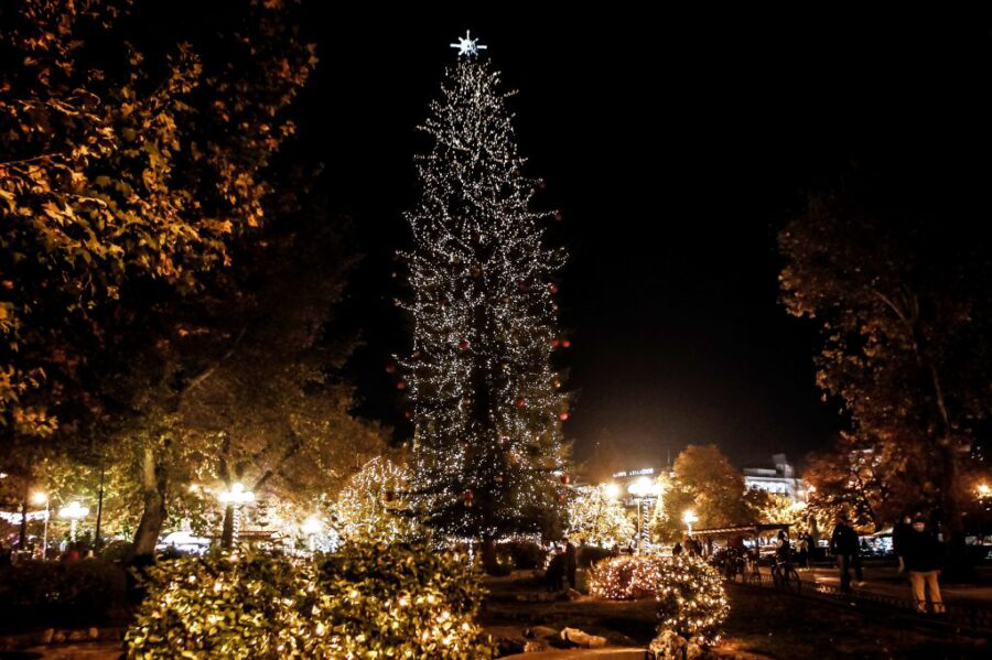 希臘全國最高聖誕樹，今年點燈儀式透過線上直播與民眾分享（圖／Greek City Times）