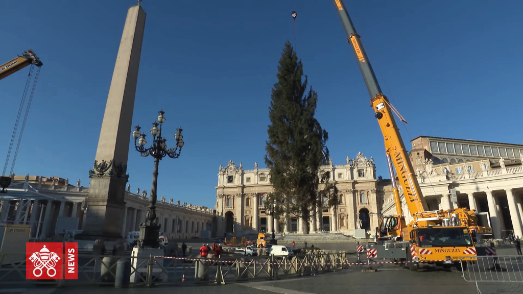 聖伯多祿廣場為聖誕節來臨預備（圖／截取YouTube@Vatican News ）