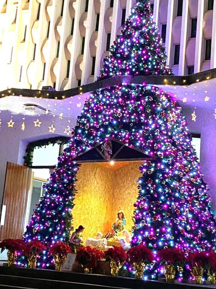聖家堂馬槽結合聖誕樹--教會