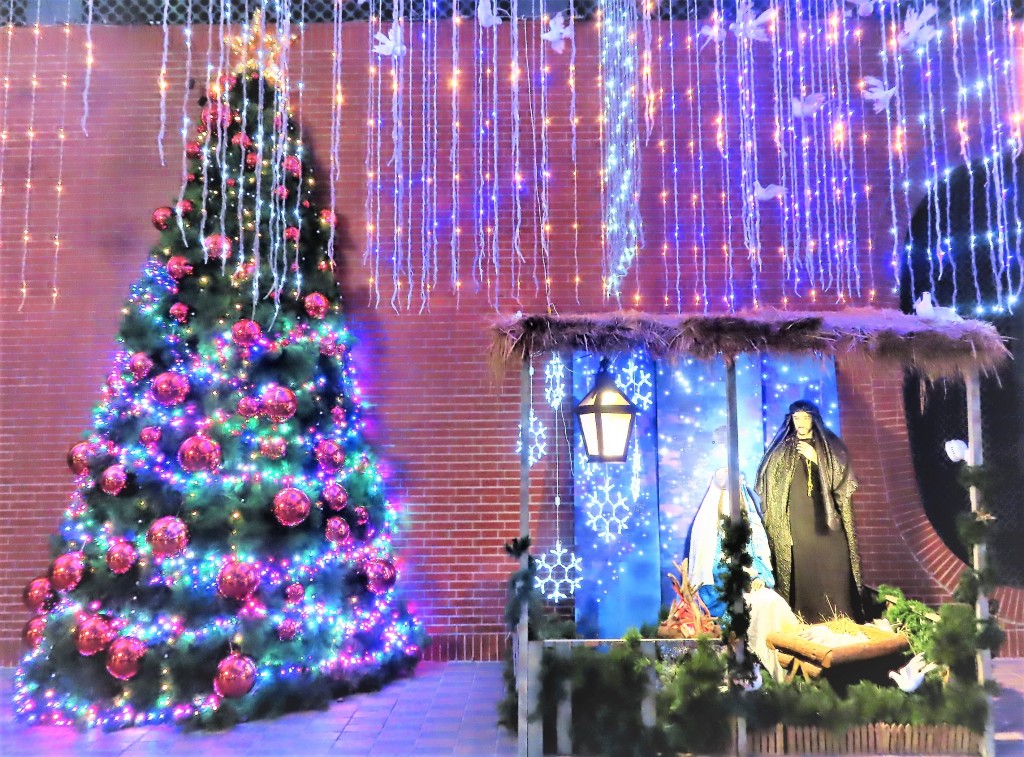台北懷恩堂的馬槽及聖誕樹