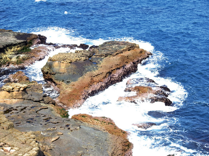  海邊看到「台灣國」石頭。