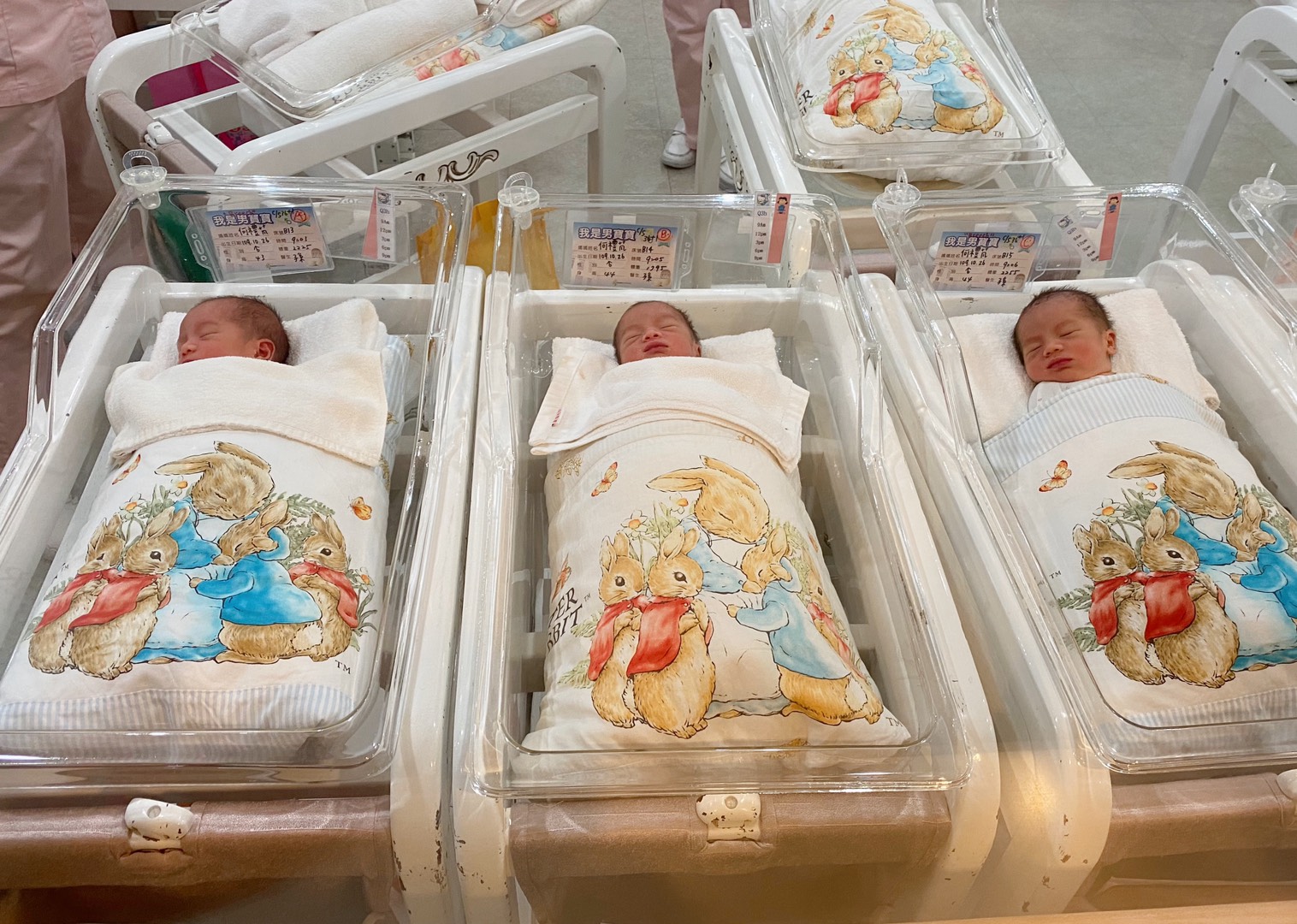 何禮芃姐妹於去年十月生下三胞胎湊足七個男寶寶。（圖／受訪者提供)