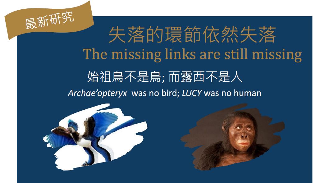 我們沒有辦法解釋為什麼各式猿猴與人類之間並沒有過渡物種。（武昌教會提供）