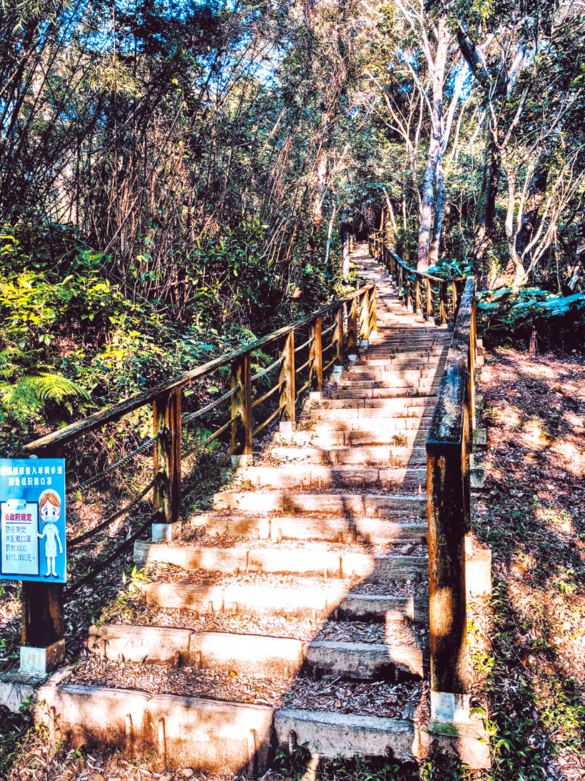 羊稠森林步道。（梁敬彥攝影）