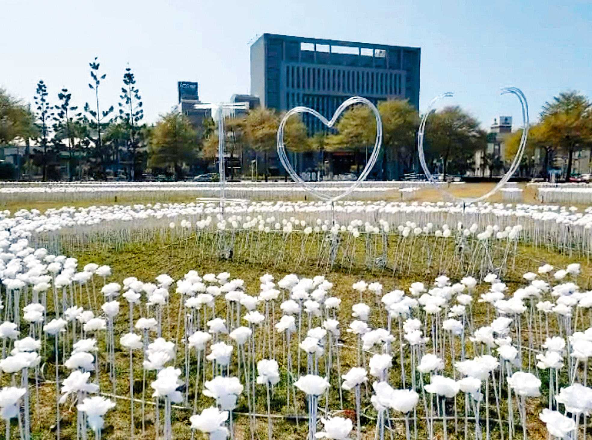 在台南市政府廣場超過三萬朵白色玫瑰花燈。（圖／賴主教提供）