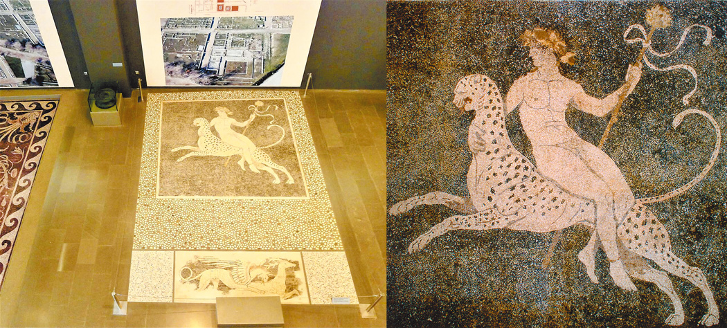 左圖：佩拉考古博物館馬賽克地板圖案「豹和酒神」，估計年代為公元前330-300年。（王桂花攝影）　右圖：「豹和酒神」近照。（Photo by Yann Forget）