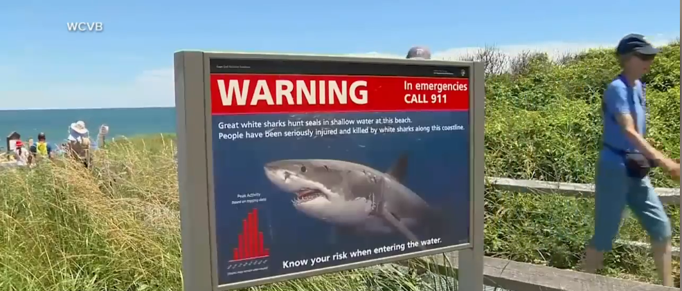 由於鯊魚的攻擊，海邊豎立了警告標誌。（圖／air.tv)