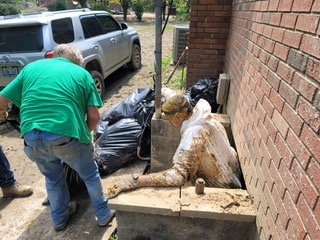 教會人員幫助社區清理街道。（圖／翻攝自flbaptist.org）