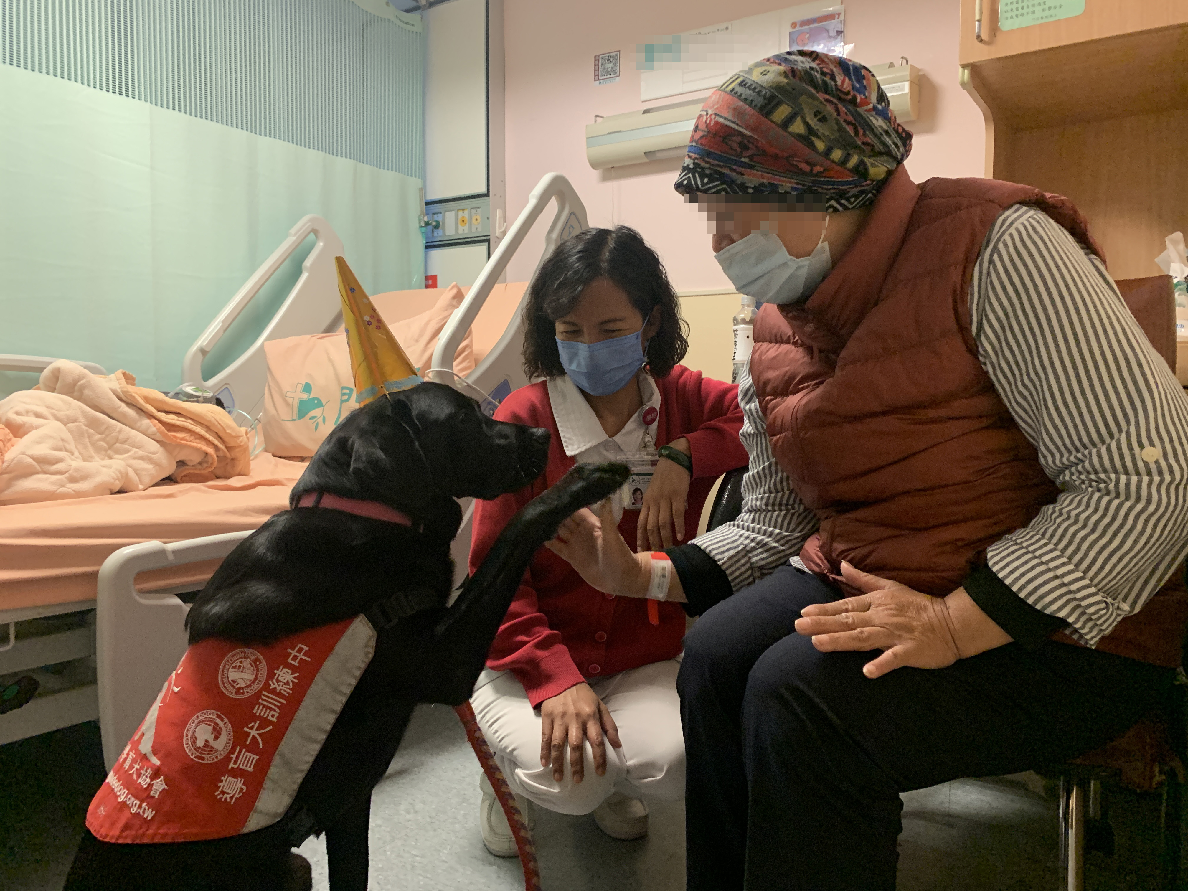 治療犬Oba與患者互動。