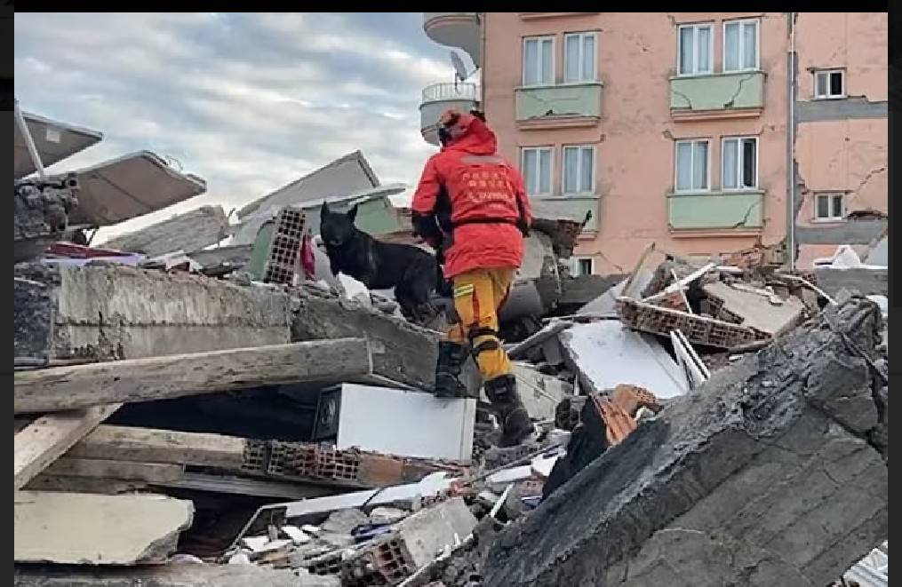 內政部消防署的救難隊員帶著搜救犬，在瓦礫堆中找尋生還者