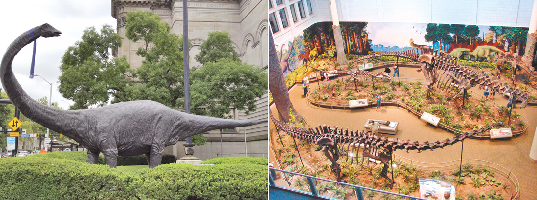 卡內基自然歷史博物館的招牌梁龍模型和化石。（左圖作者攝影，右圖Allie_Caulfield/flickr/cc）