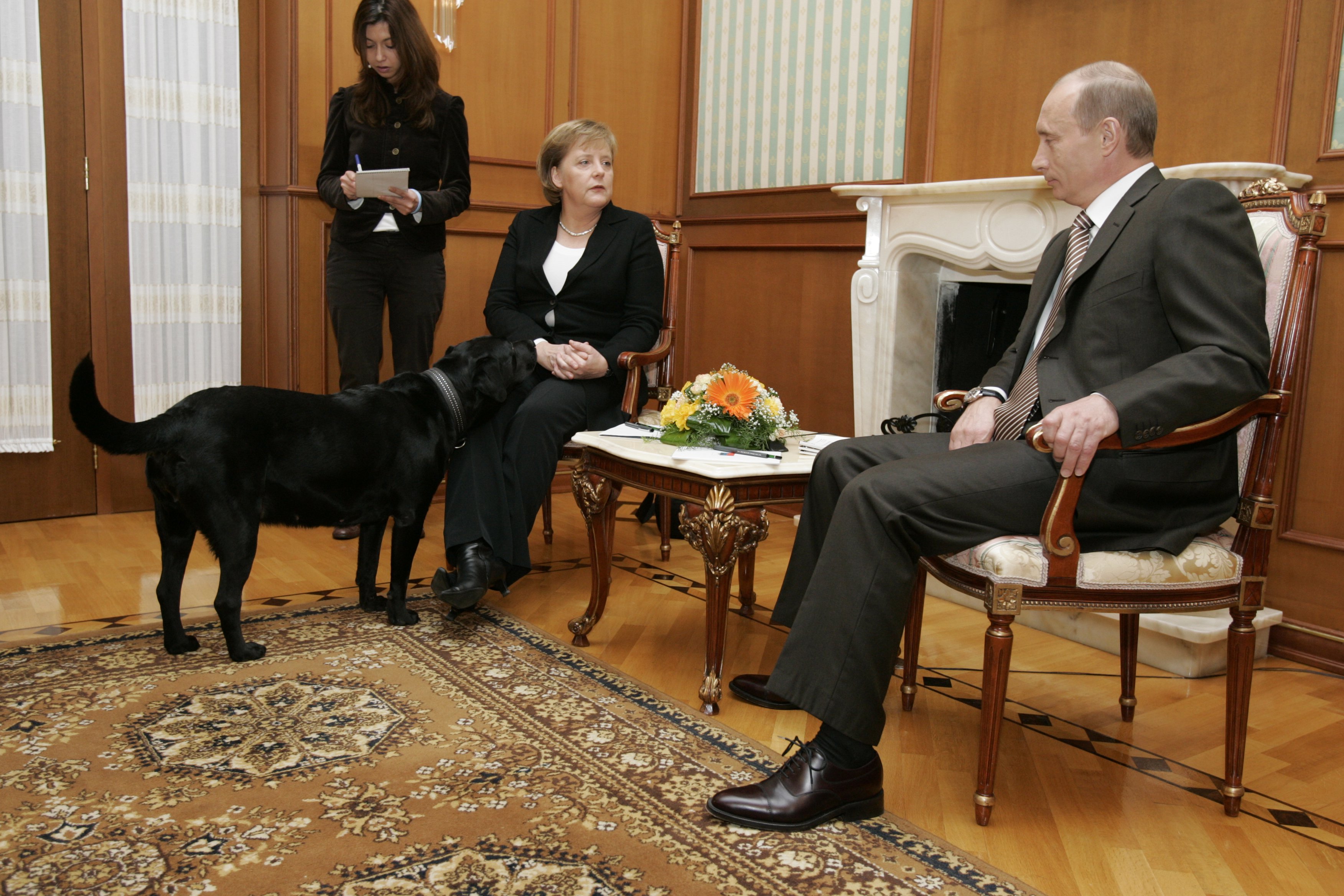 2007年1月，梅克爾訪問莫斯科拜會普丁。普丁飼養的拉布拉多犬在會談中亂入會場。（Ja.wikipedia.org）