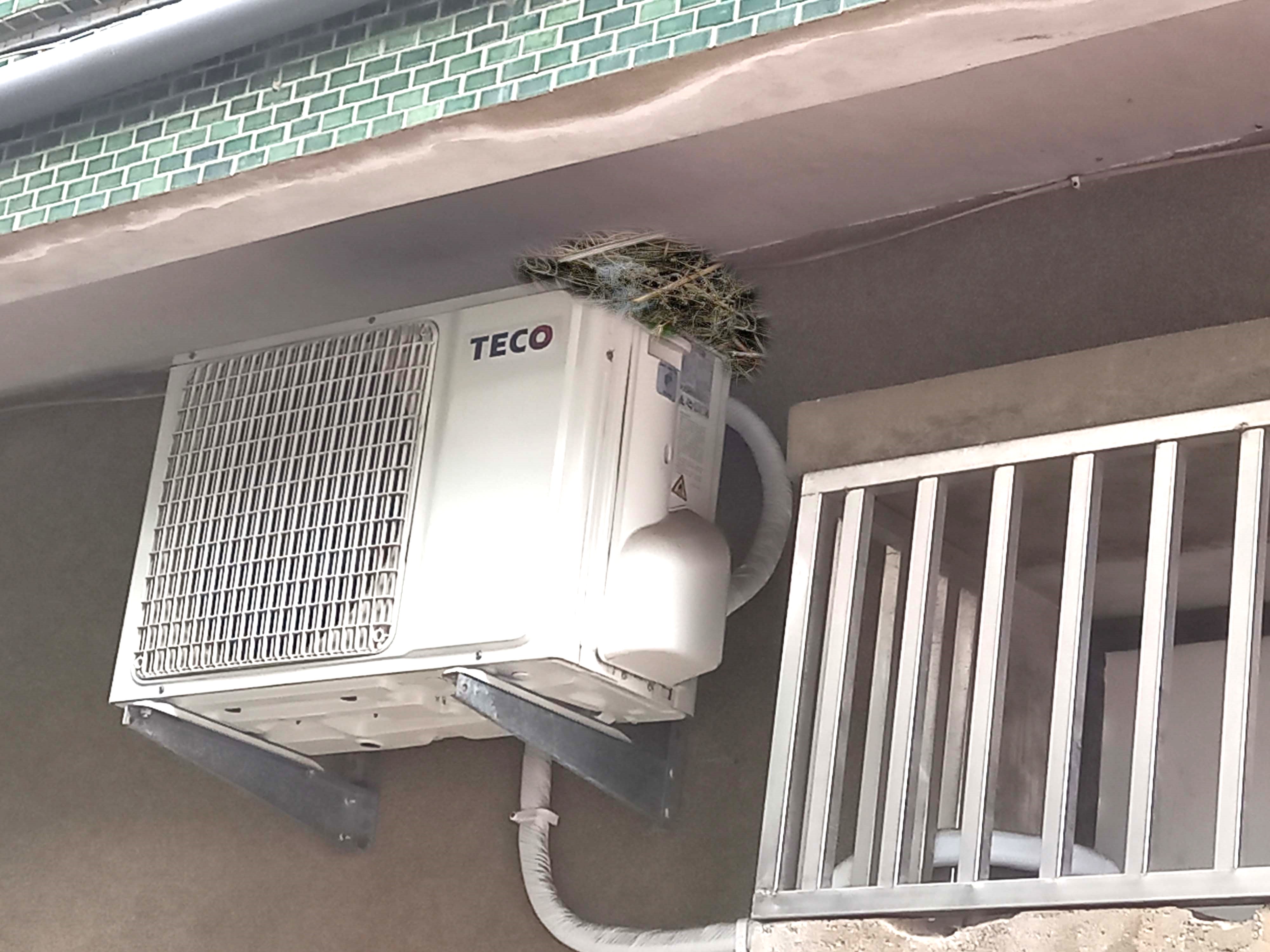 住家冷氣機或屋簷下方若有鳥築巢，應適時移除。(圖/嘉基提供)