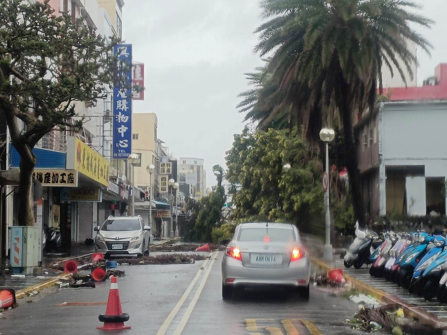 路樹倒塌阻隔交通（翻攝自澎湖交通回報平台）