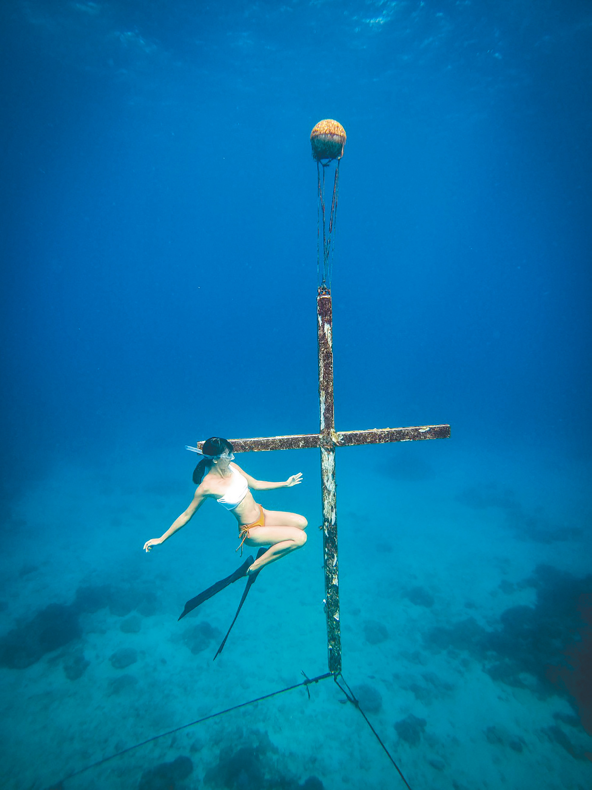 下潛觀賞綠島海底十字架。（圖／受訪者提供）
