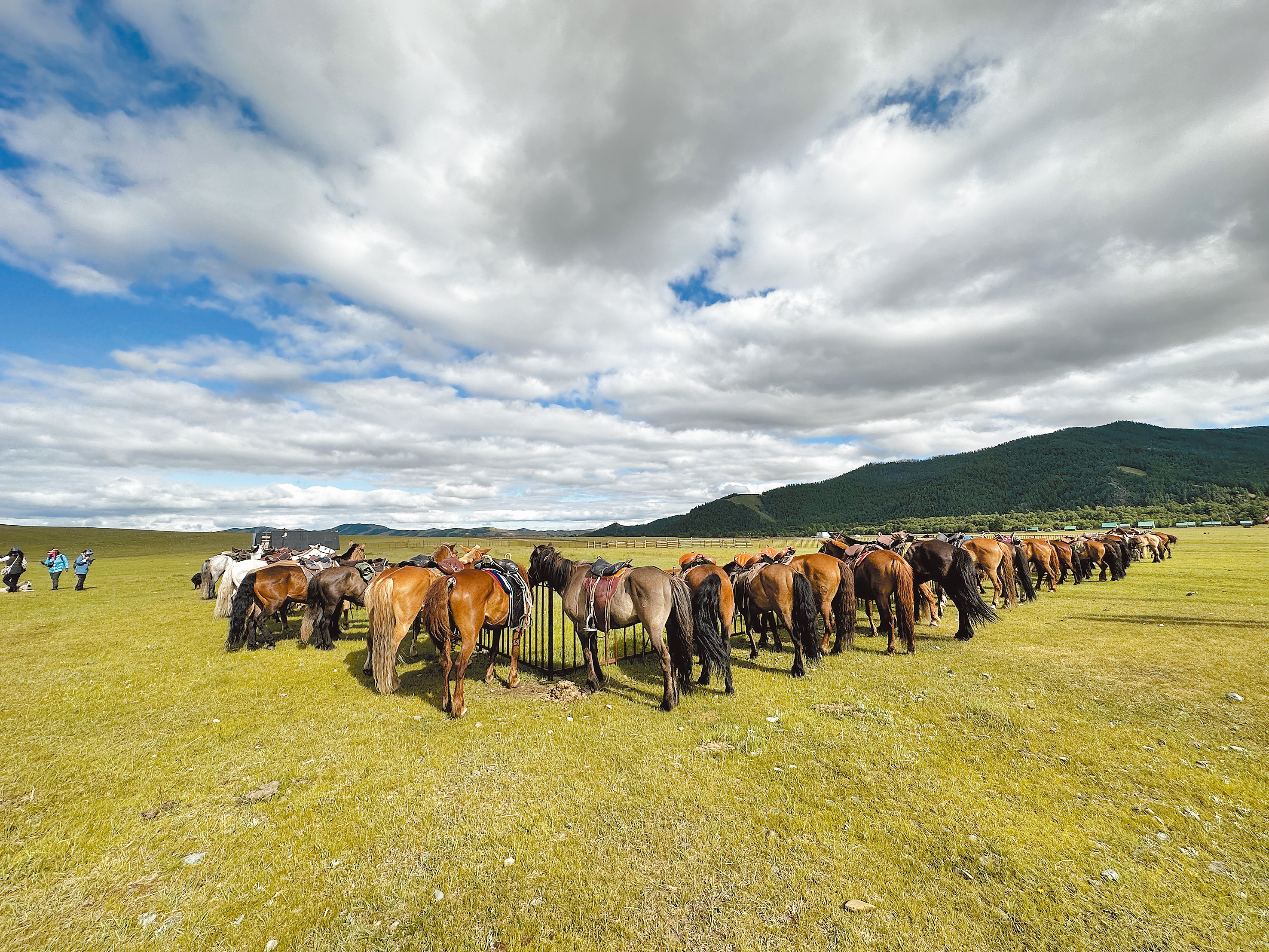 蒙古大草原。（受訪者提供）