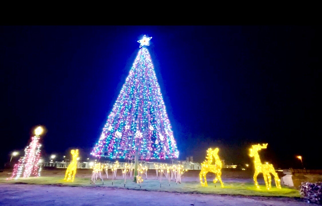 布袋商港旅客服務中心的聖誕樹被點亮。(圖/台灣西海岸發展協會提供)