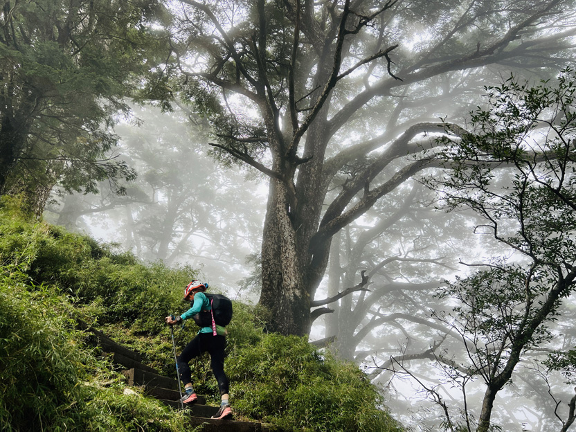 鏡頭隨著越野者穿梭在台灣高山森林、草原各種地貌。（照片提供：活水文化）