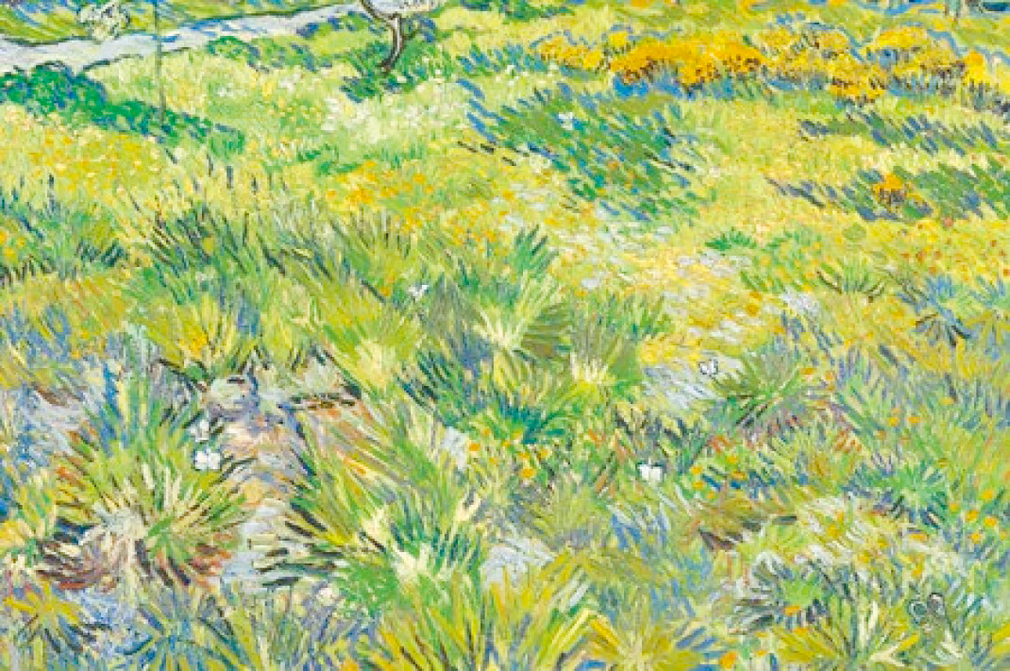 梵谷（1853–1890）作品〈長草地與蝴蝶〉，1890年創作。（圖片版權：英國國家藝廊。）