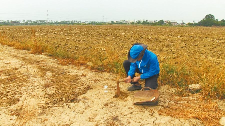 阿仁以鋤頭撬開硬梆梆的「死土」。（照片提供：無米樂影像工作室）