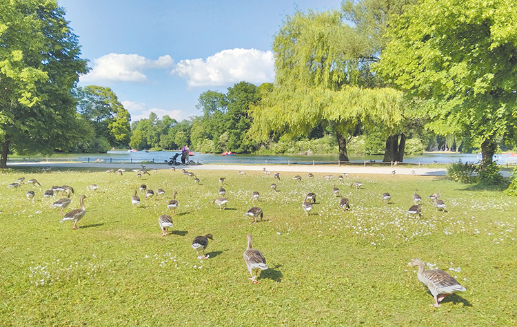 慕尼黑「英國花園」悠閒景象。（作者攝影）