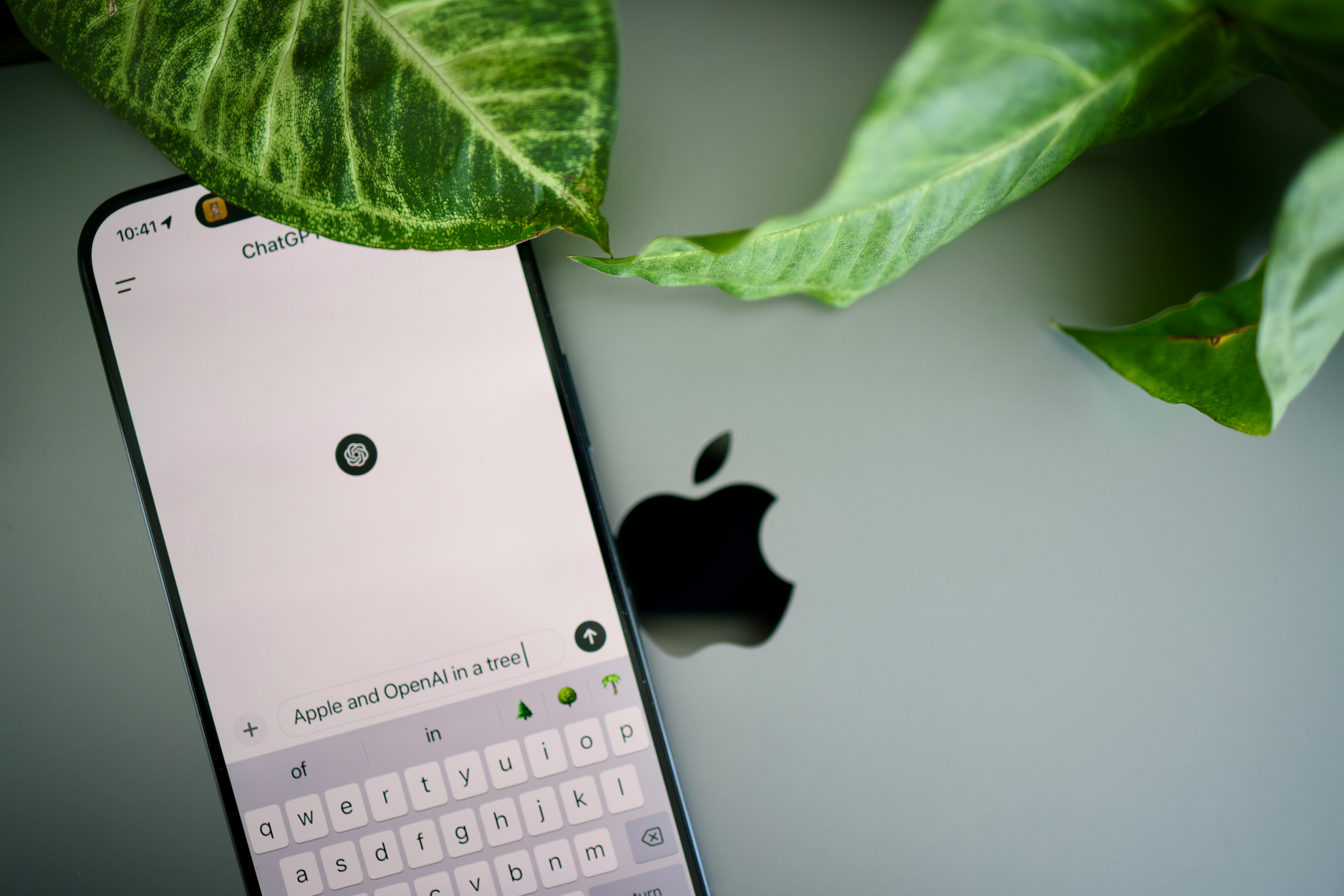 solen@unsplash