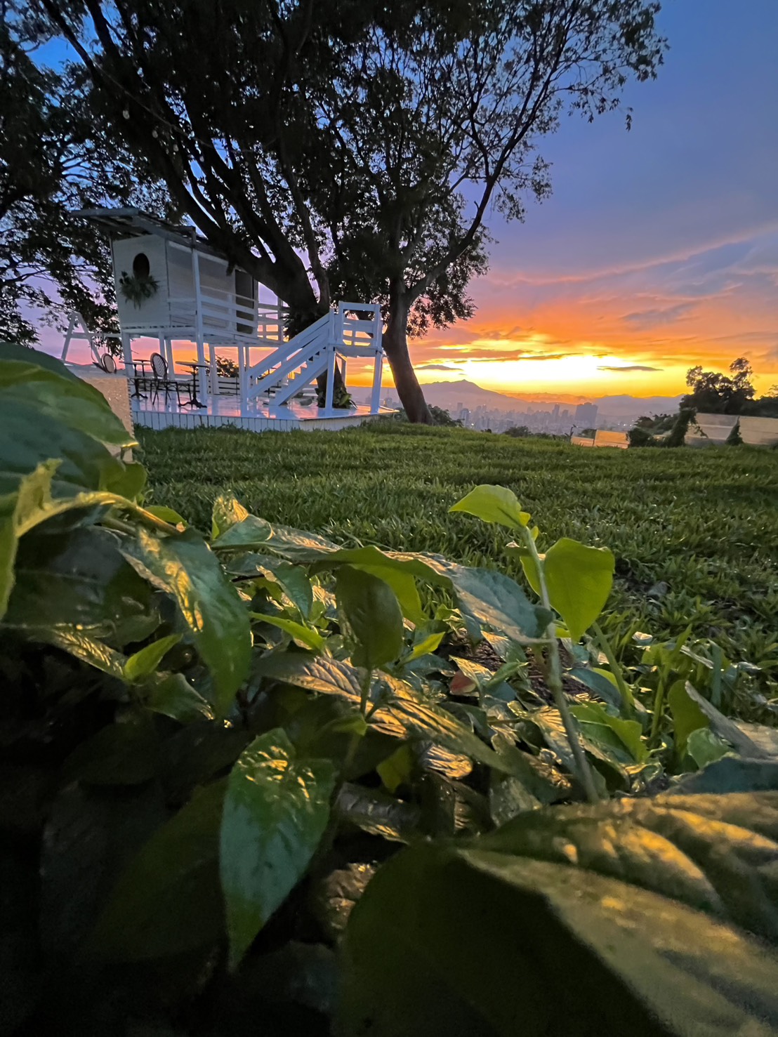整修後的樹屋與落日夕照互相輝應，美景如畫。（圖/浸聯會提供）