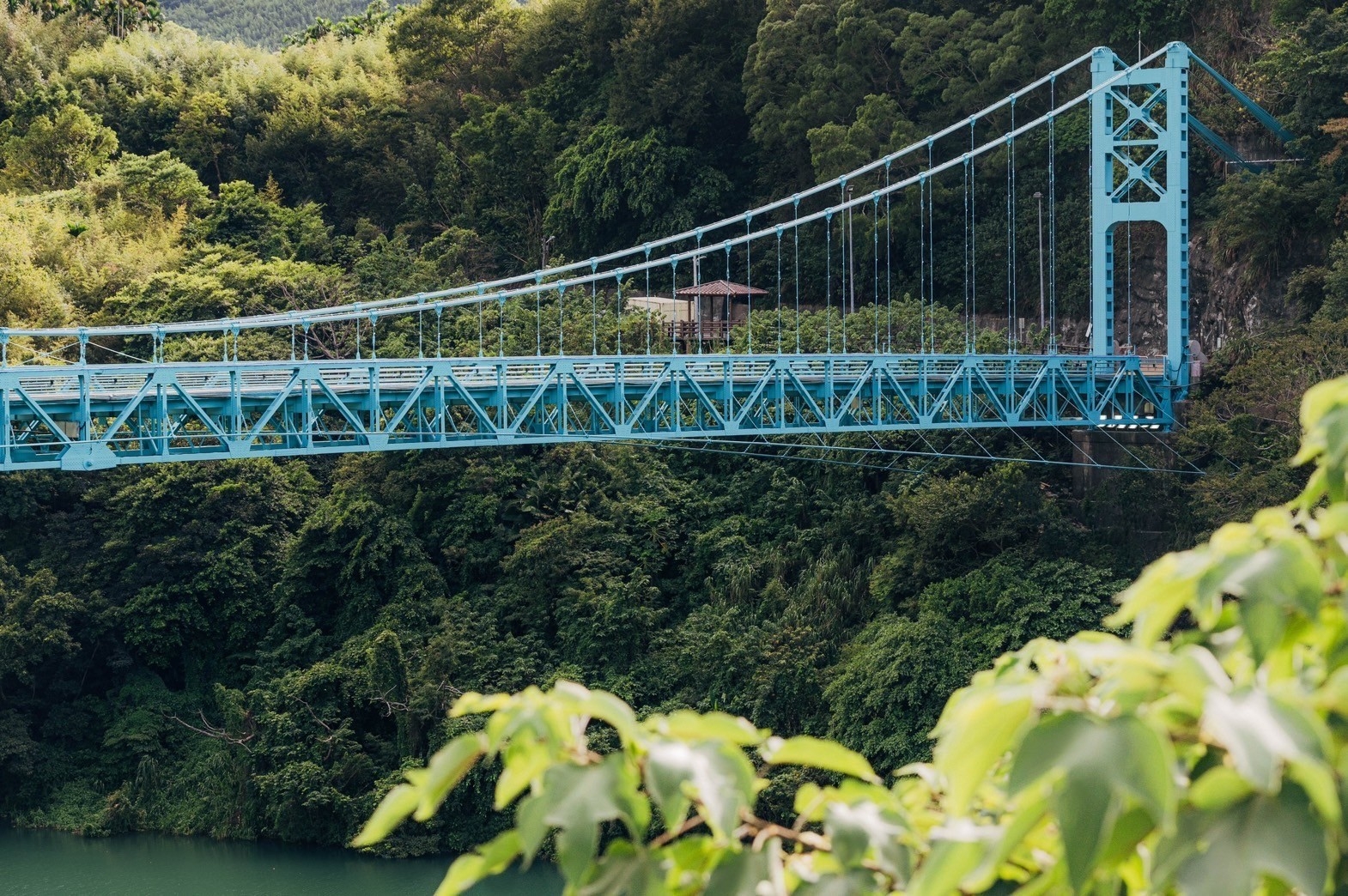 森呼吸的復興橋。（圖／桃園市政府提供）