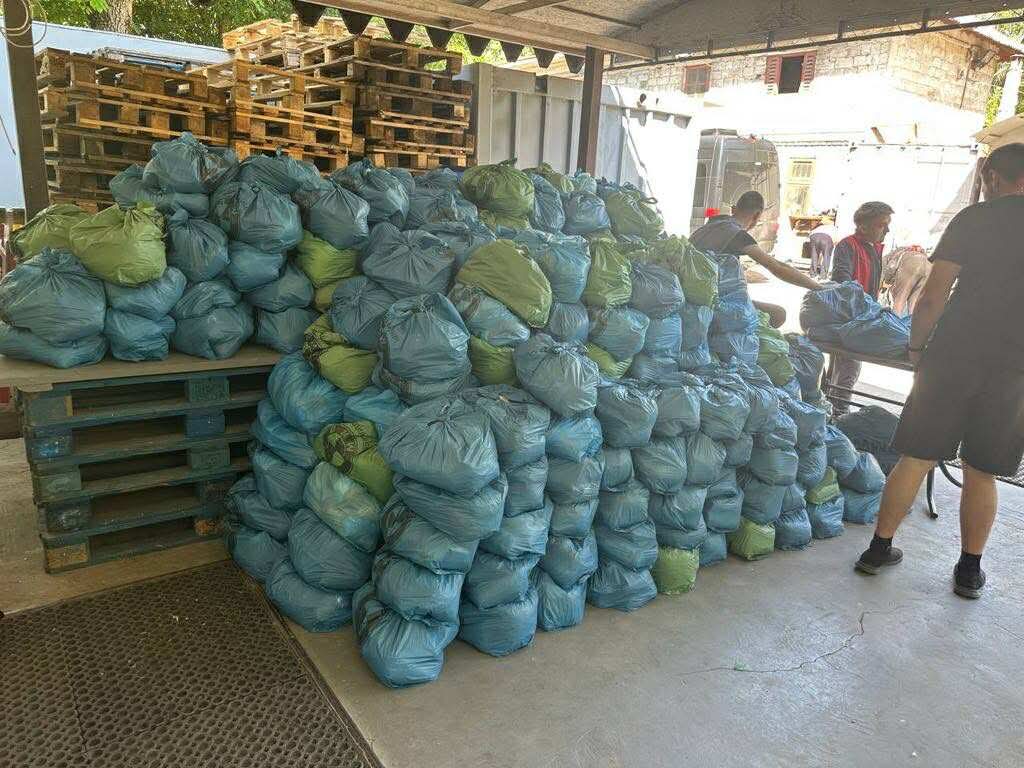 待運送到各地分發的食物