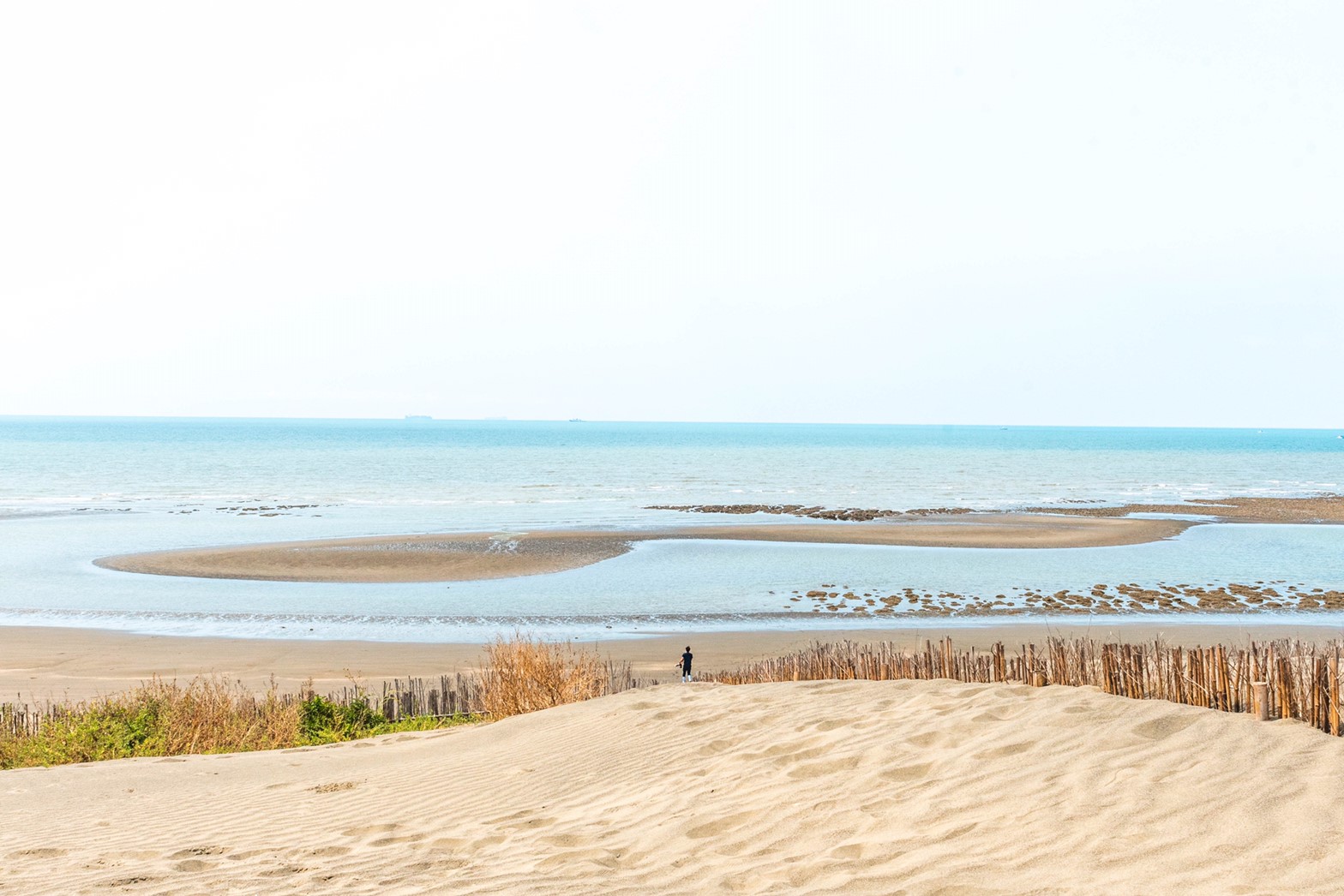草漯沙丘海岸景觀。（圖／桃園市政府提供）
