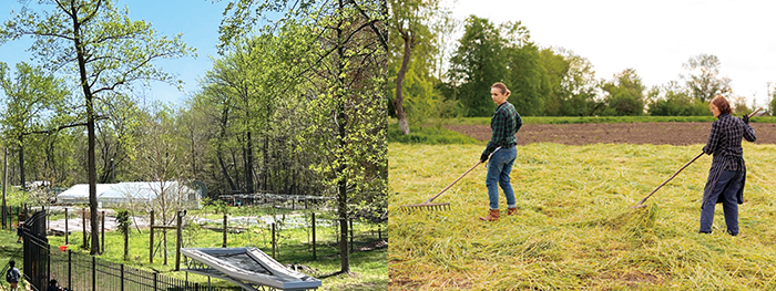 學生在社區農場幫忙除草、鬆土,與受造物連結。