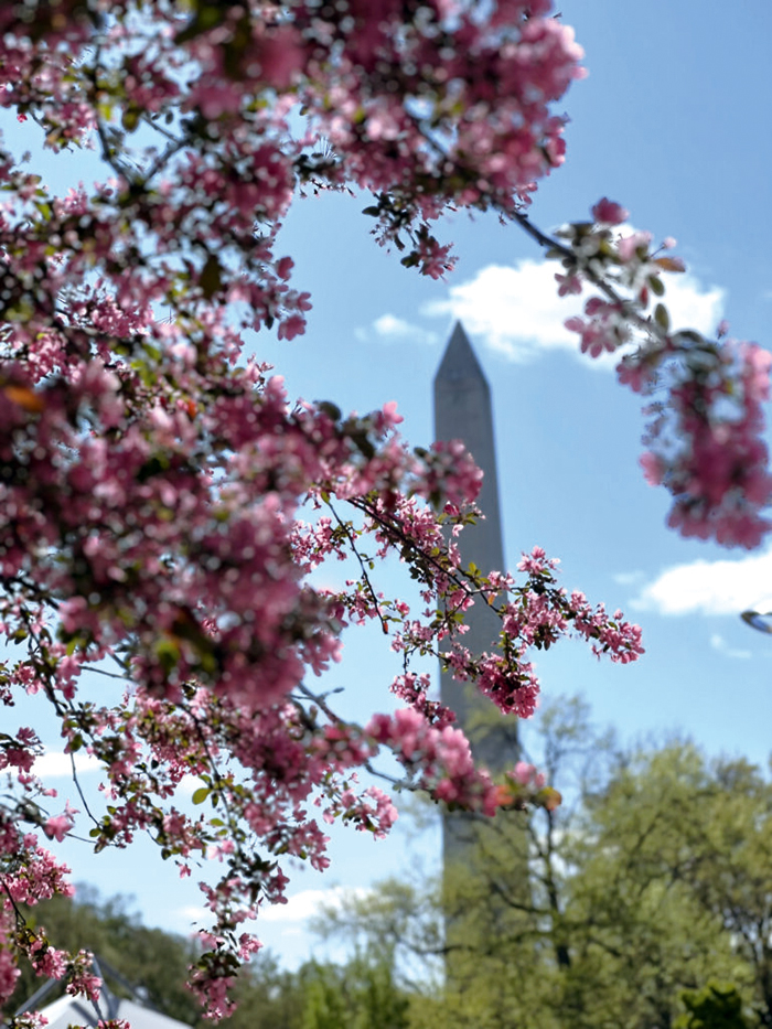 整潔美麗的美國首府DC,是政治權力中心,卻把弱勢社區撇下了。然而在這個「自由的土地」、「勇士的家鄉」,仍有人致力傳講、實踐公義。