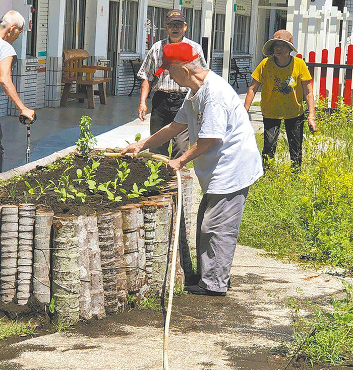 長濱不老農場。（圖／受訪者提供）