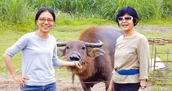 夏靜漪區長。（左圖／受訪者提供）