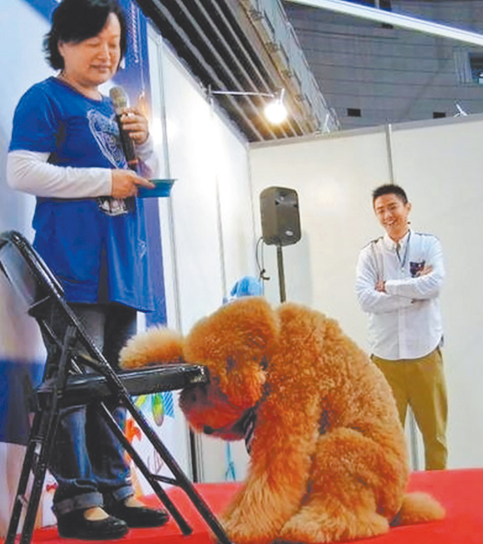 哈樂爆紅的示範禱告，令人懷念。