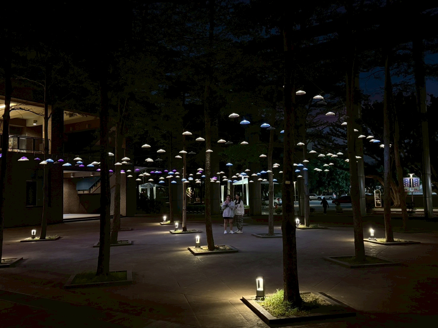 中原大學「聖誕奇蹟旅程」沉浸式冬季拍照點溫暖點亮70週年祝福。(中原大學提供)