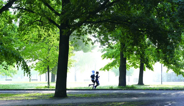 習慣養成跟優先順序緊密相關，取決於對價值觀和生活意義的理解。 當所需行動與內在價值一致，就會願意，也有動力付出代價。