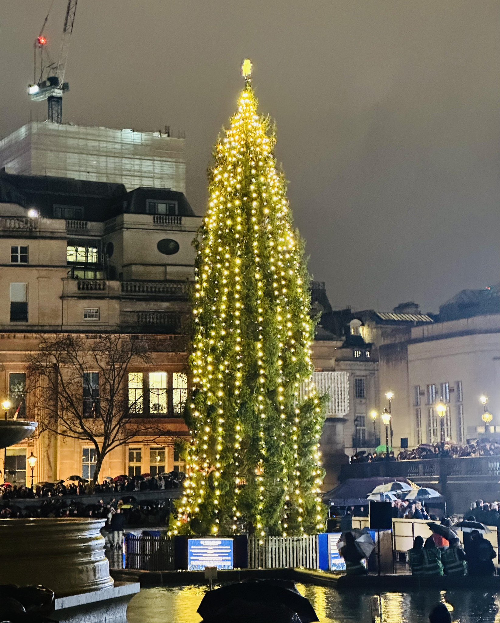 （翻攝自X@afneil）