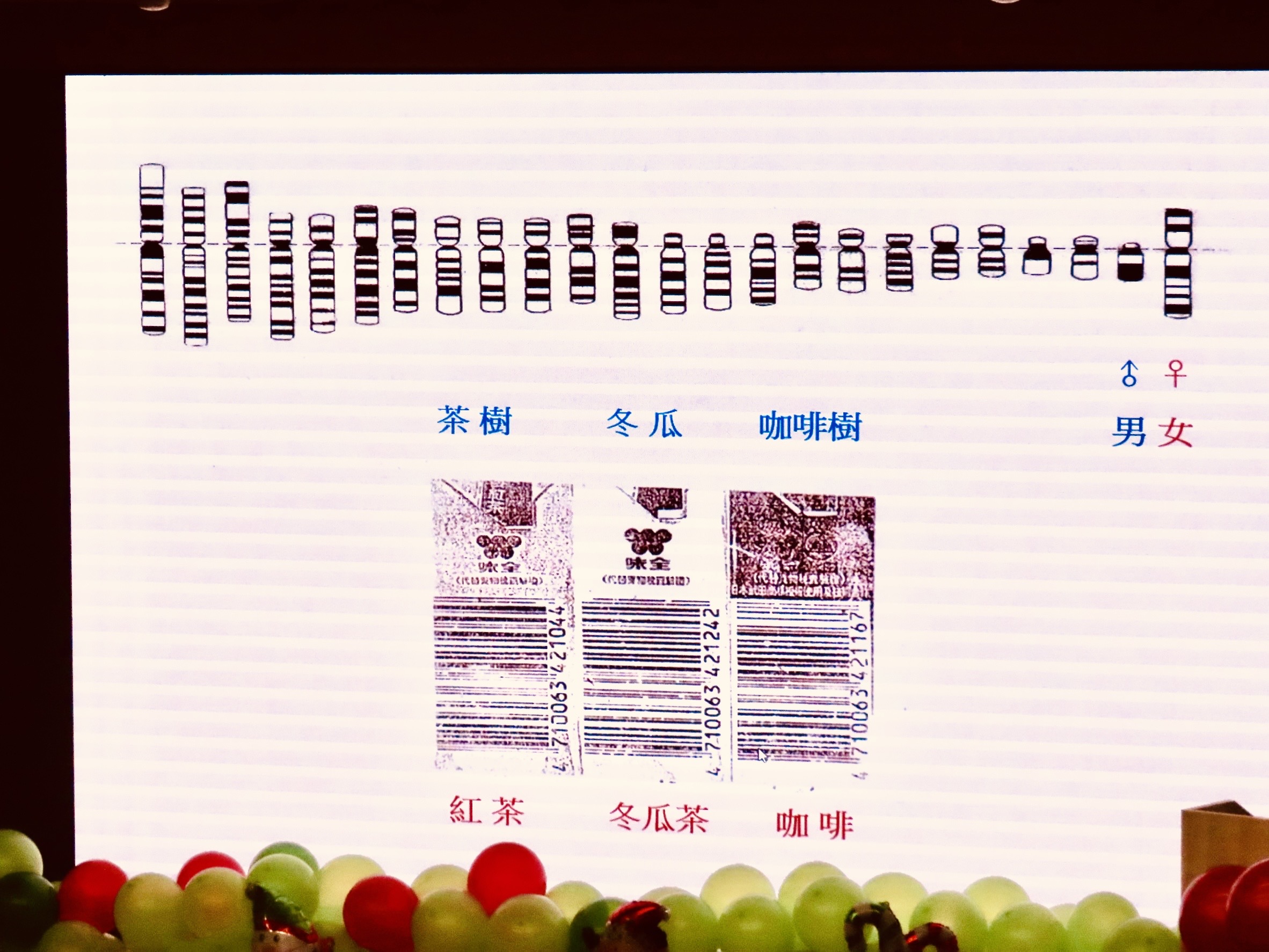 商品條碼和染色體很像。