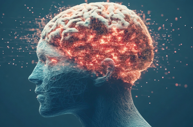 神經科學最新研究:32歲才算真正成年人