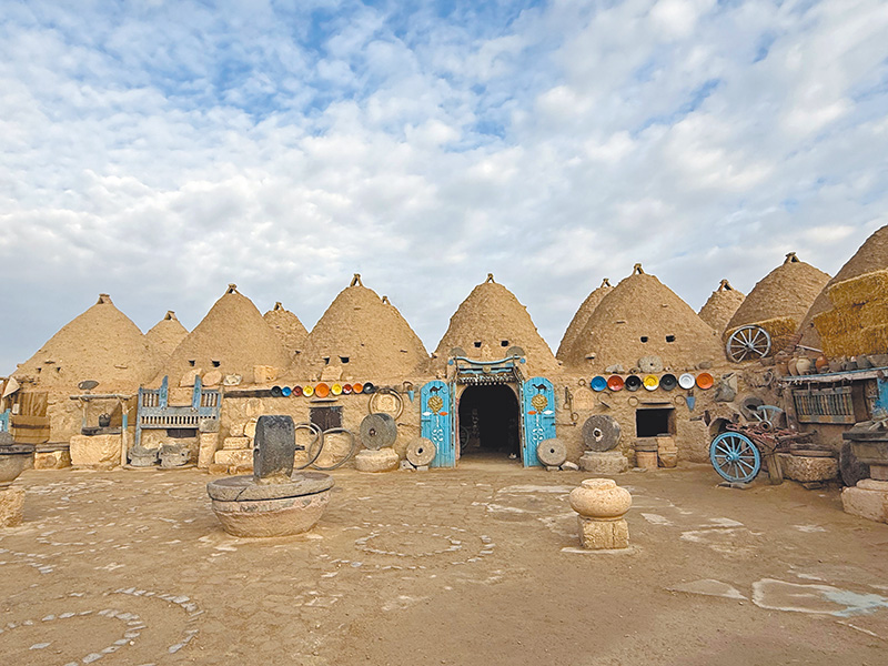 哈蘭蜂巢屋外觀。（王桂花攝影）