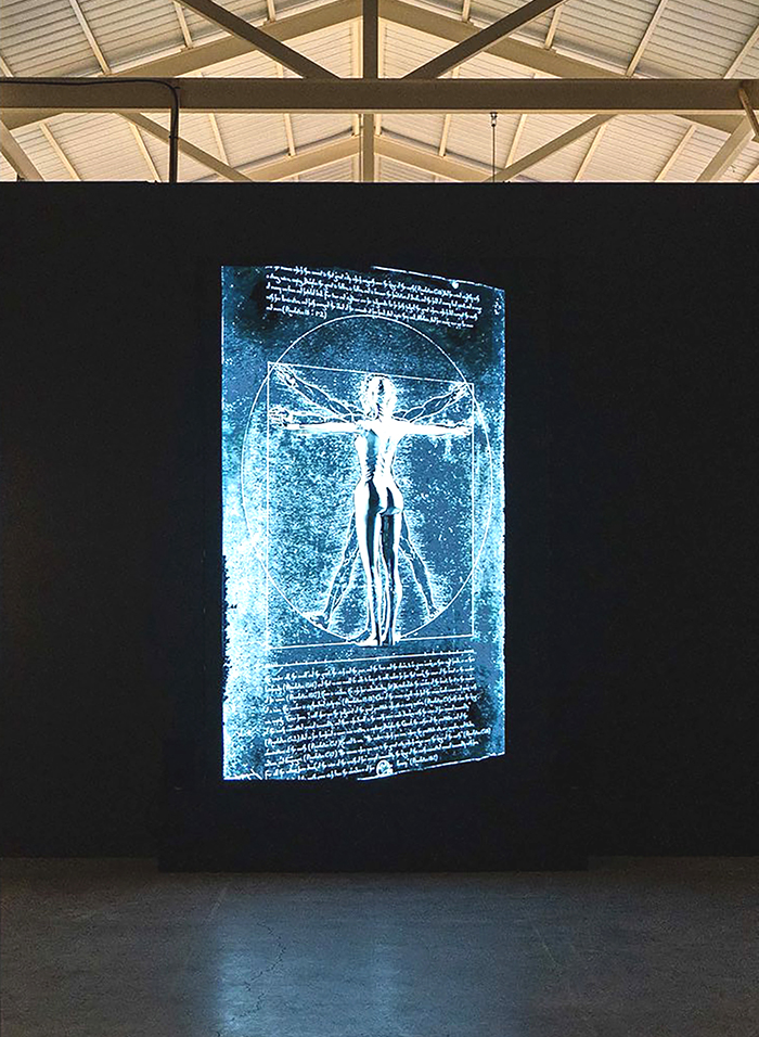 克隆夏娃作品以達文西作品為原型。(圖/桃園市文化局提供)