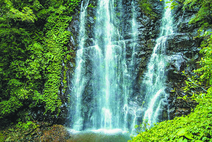 滿月圓國家森林遊樂區瀑布。（圖/新北市觀光旅遊網提供）
