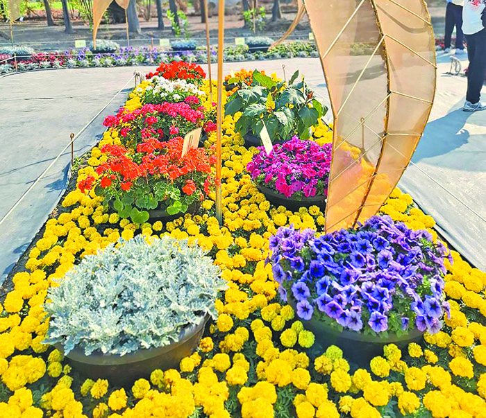 溪州公園的花景。（圖／李容珍攝影）