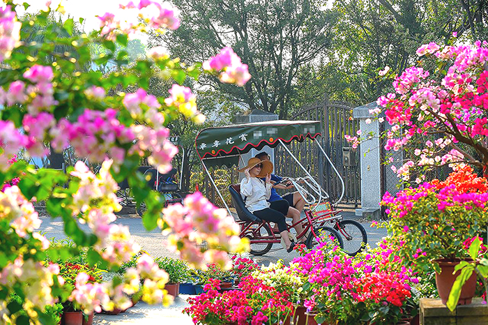 騎電動車漫遊在田尾公路花園。（翻攝自ｉ玩彰化臉書）